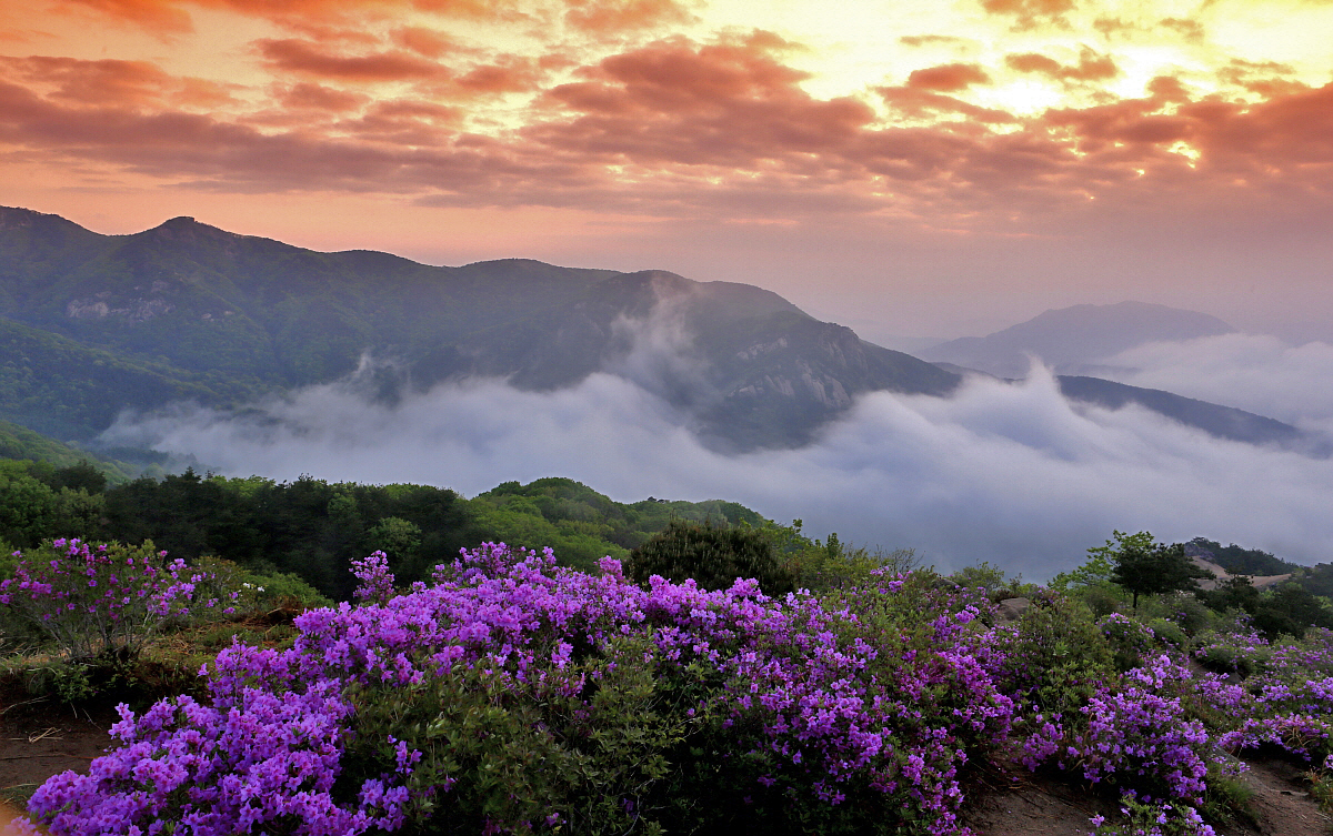 PHOTO BY  | Canon EOS 5D Mark III | 2014:05:01 05:50:41 | ISO-200 | 1/15 sec | f 13 | 24 mm | EV=0 | ● WIDTH:1200 pixels  HEIGHT:753 pixels