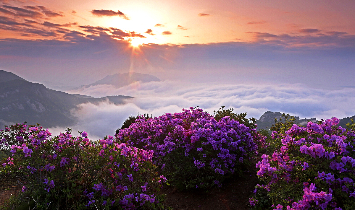 PHOTO BY  | Canon EOS 5D Mark III | 2014:05:01 05:58:52 | ISO-200 | 1/25 sec | f 13 | 30 mm | EV=0 | ● WIDTH:1200 pixels  HEIGHT:711 pixels