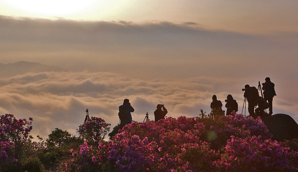 PHOTO BY  | Canon EOS 5D Mark III | 2014:05:01 06:13:04 | ISO-200 | 1/400 sec | f 13 | 64 mm | EV=0 | ● WIDTH:1200 pixels  HEIGHT:696 pixels