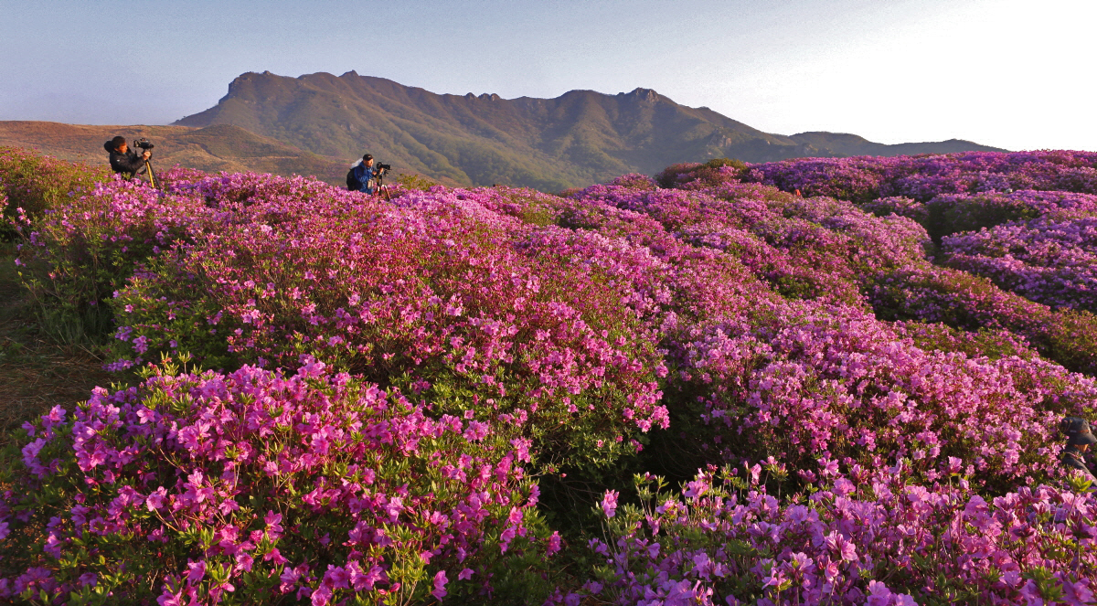 PHOTO BY  | Canon EOS 5D Mark III | 2014:05:01 06:30:43 | ISO-200 | 1/160 sec | f 9 | 24 mm | EV=0 | ● WIDTH:1200 pixels  HEIGHT:663 pixels