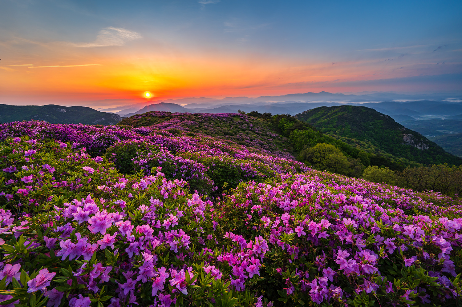 PHOTO BY  | NIKON Z 6_2 | 2024:05:02 05:41:14 | ISO-200 | 1/15 sec | f 16 | 14.5 mm | EV=-0.7 | ● WIDTH:1500 pixels  HEIGHT:998 pixels