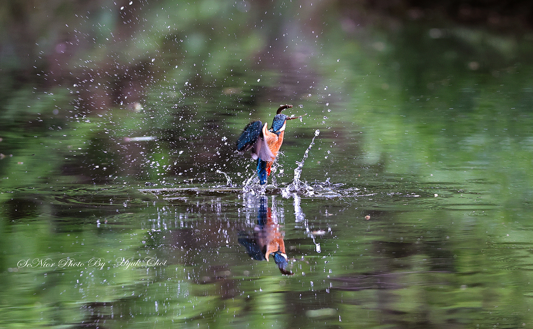 PHOTO BY  | Canon EOS R6 | 2024:05:01 12:00:57 | ISO-2500 | 1/1000 sec | f 5 | 191 mm | EV=0 | ● WIDTH:1700 pixels  HEIGHT:1050 pixels