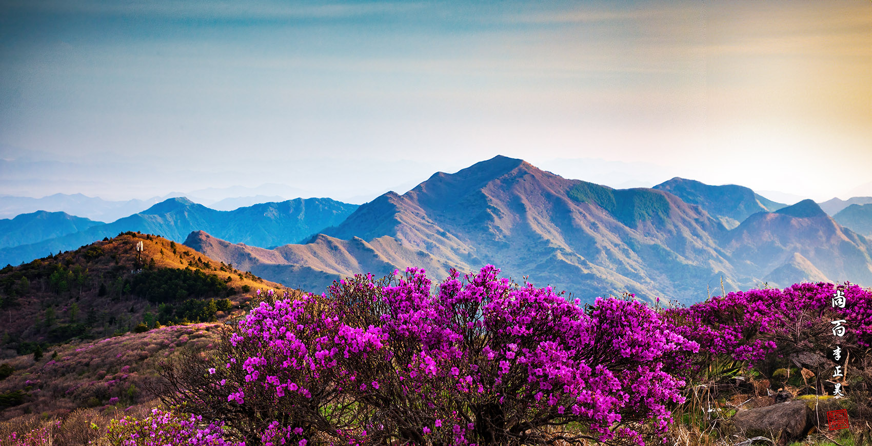 PHOTO BY  | Canon EOS 5D Mark IV | 2024:04:28 06:10:01 | ISO-100 | 1/25 sec | f 13 | 50 mm | EV=0 | ● WIDTH:1700 pixels  HEIGHT:870 pixels