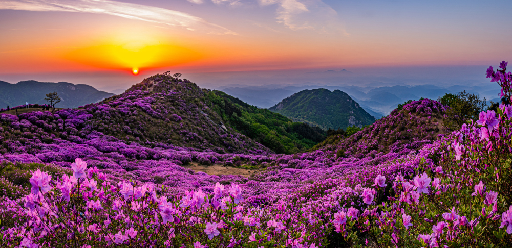   | PHOTO BY : 정현석  |