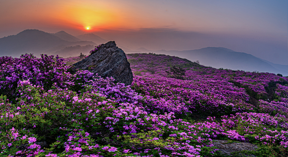   | PHOTO BY : 정현석  |