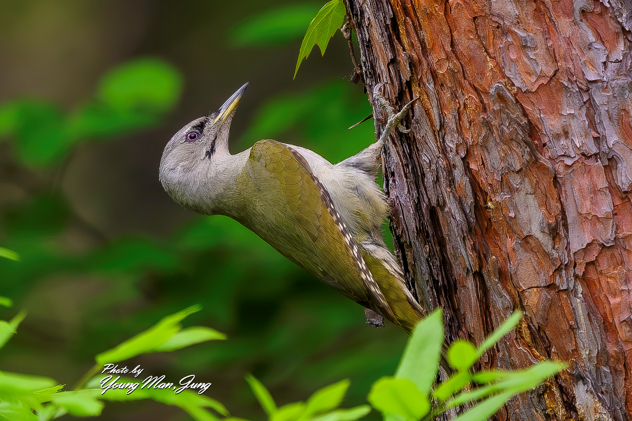   | PHOTO BY : 카파/정영만  |