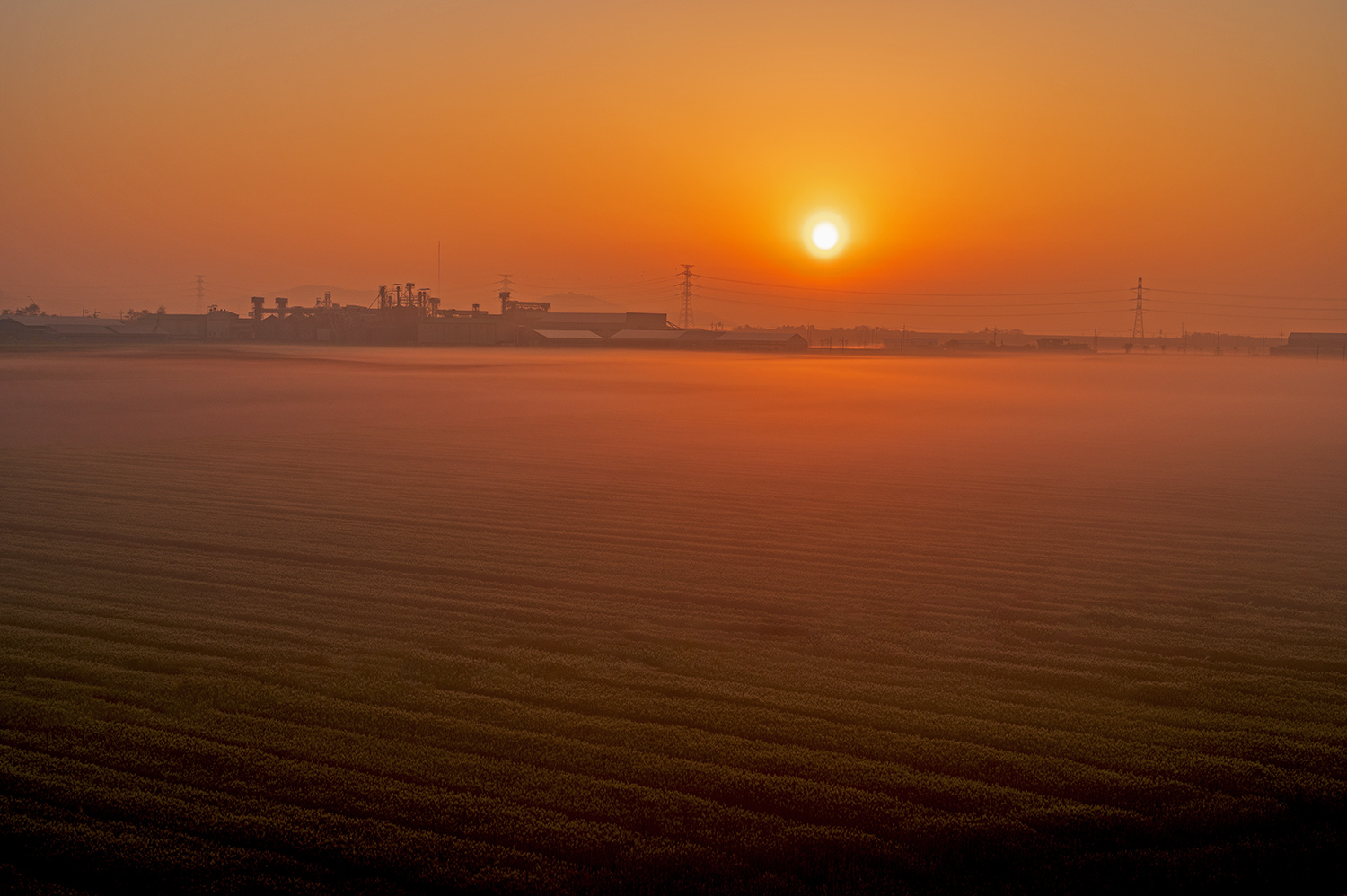 PHOTO BY  | NIKON Z 6_2 | 2024:05:03 05:57:34 | ISO-200 | 1/200 sec | f 11 | 43 mm | EV=0.3 | ● WIDTH:1500 pixels  HEIGHT:998 pixels