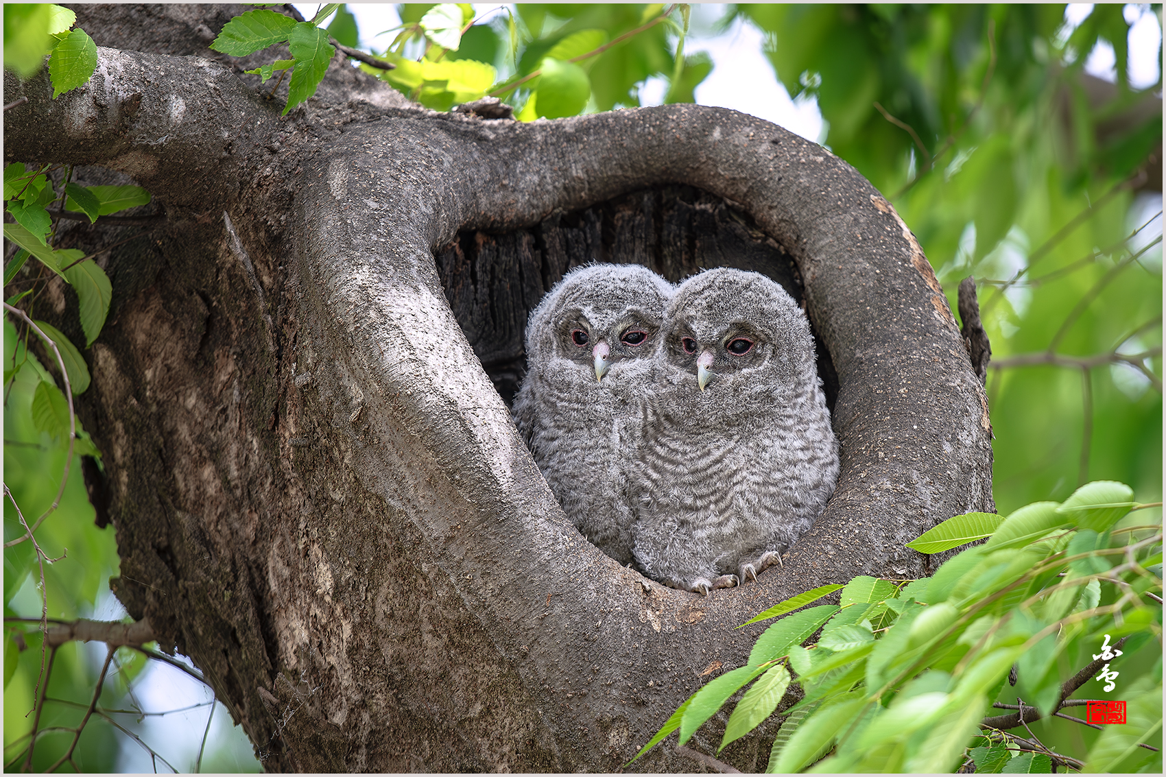   | PHOTO BY : 백조/신숙희  |