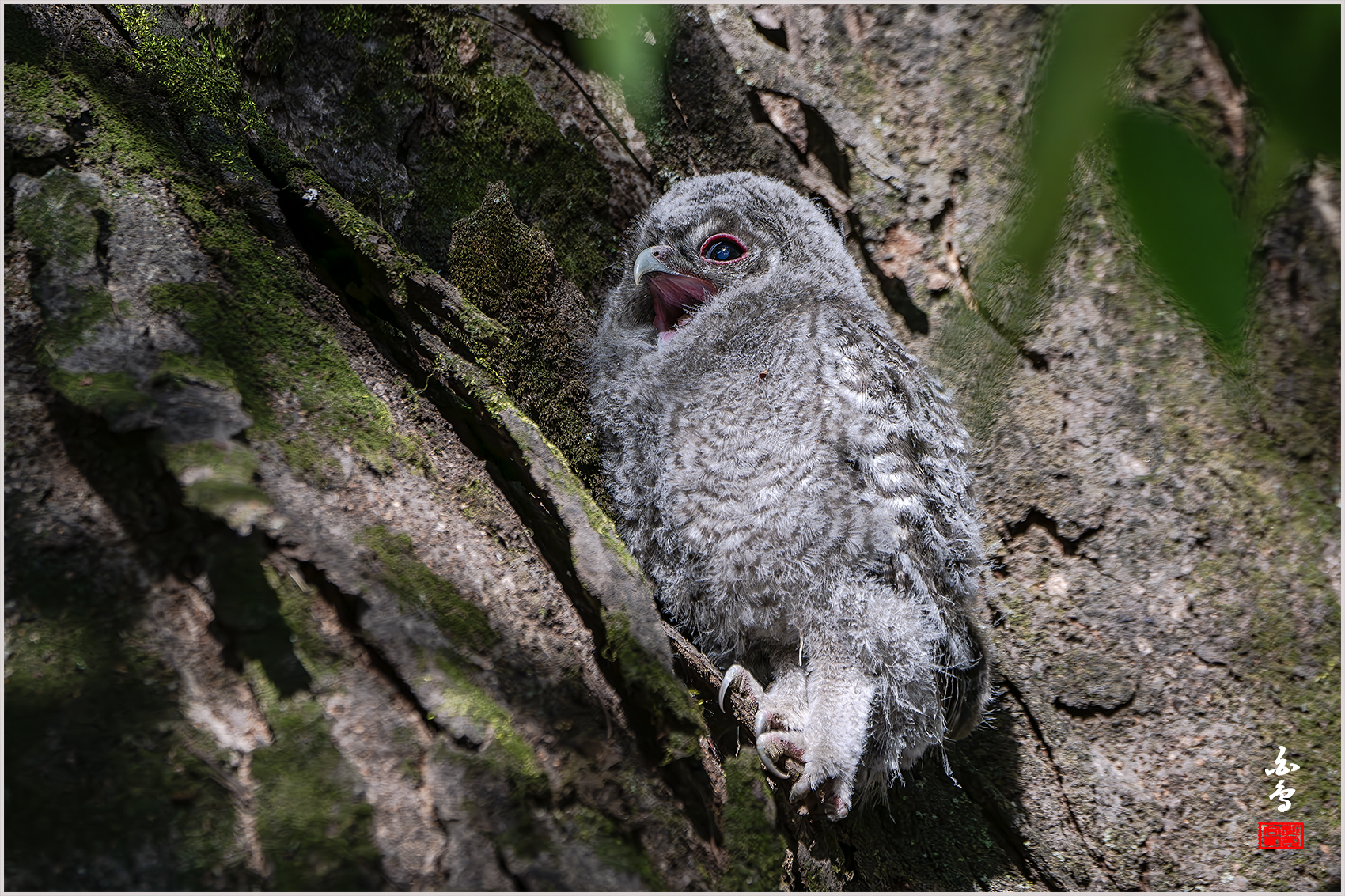 PHOTO BY  | NIKON Z 9 | 2024:05:02 07:46:21 | ISO-400 | 1/1250 sec | f 7.1 | 380 mm | EV=-0.3 | ● WIDTH:1700 pixels  HEIGHT:1133 pixels