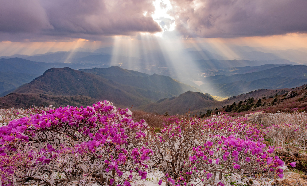   | PHOTO BY : 정현석  |