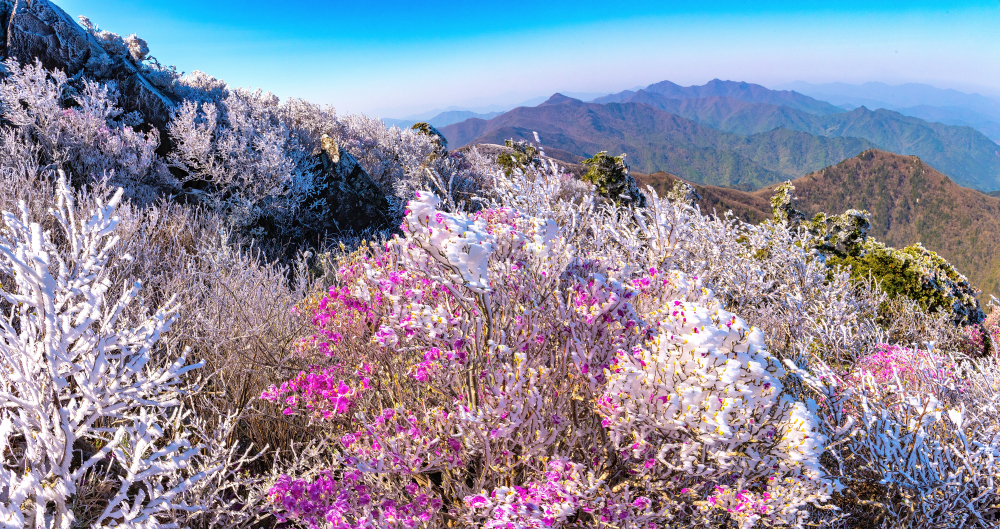   | PHOTO BY : 정현석  |