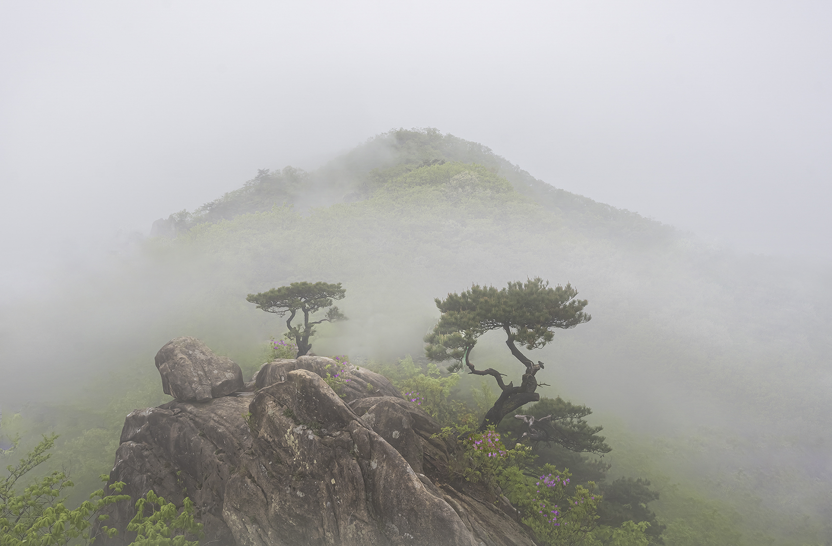 PHOTO BY  | NIKON Z 7_2 | 2024:04:12 07:33:57 | ISO-200 | 1/200 sec | f 11 | 15.5 mm | EV=0 | ● WIDTH:1700 pixels  HEIGHT:1117 pixels