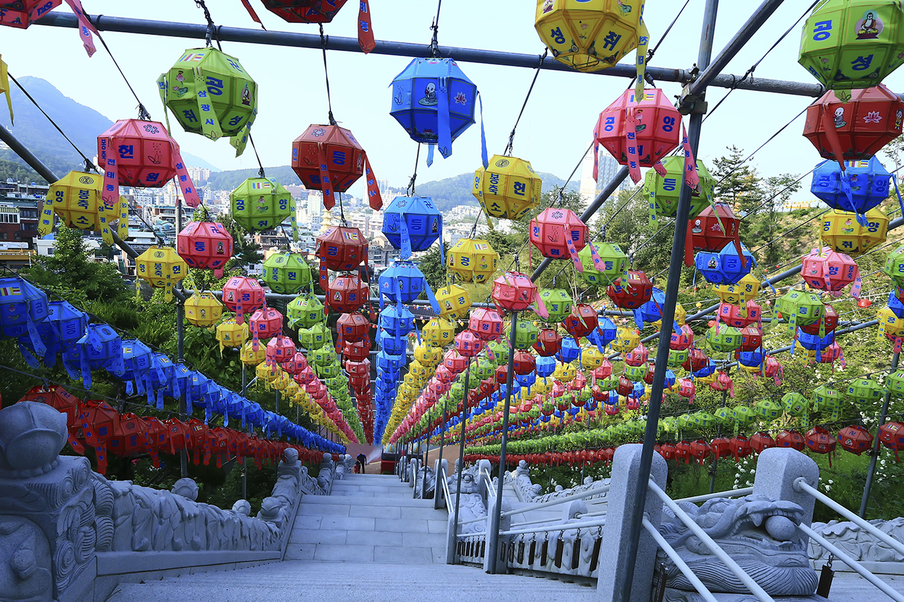 PHOTO BY WO2YA LAB | Canon EOS-1D X Mark II | 2024:05:02 14:26:19 | ISO-3200 | 1/800 sec | f 7.1 | 190 mm | EV=0 | ● WIDTH:1800 pixels  HEIGHT:1200 pixels