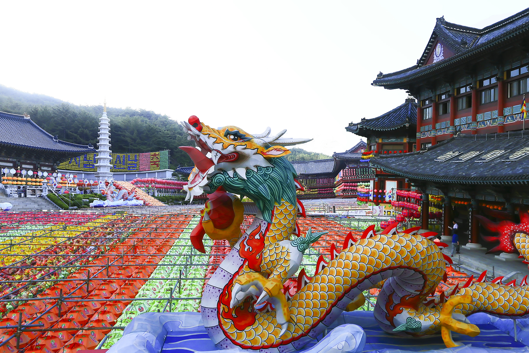 PHOTO BY WO2YA LAB | Canon EOS-1D X Mark II | 2024:05:02 14:26:19 | ISO-3200 | 1/800 sec | f 7.1 | 190 mm | EV=0 | ● WIDTH:1800 pixels  HEIGHT:1200 pixels