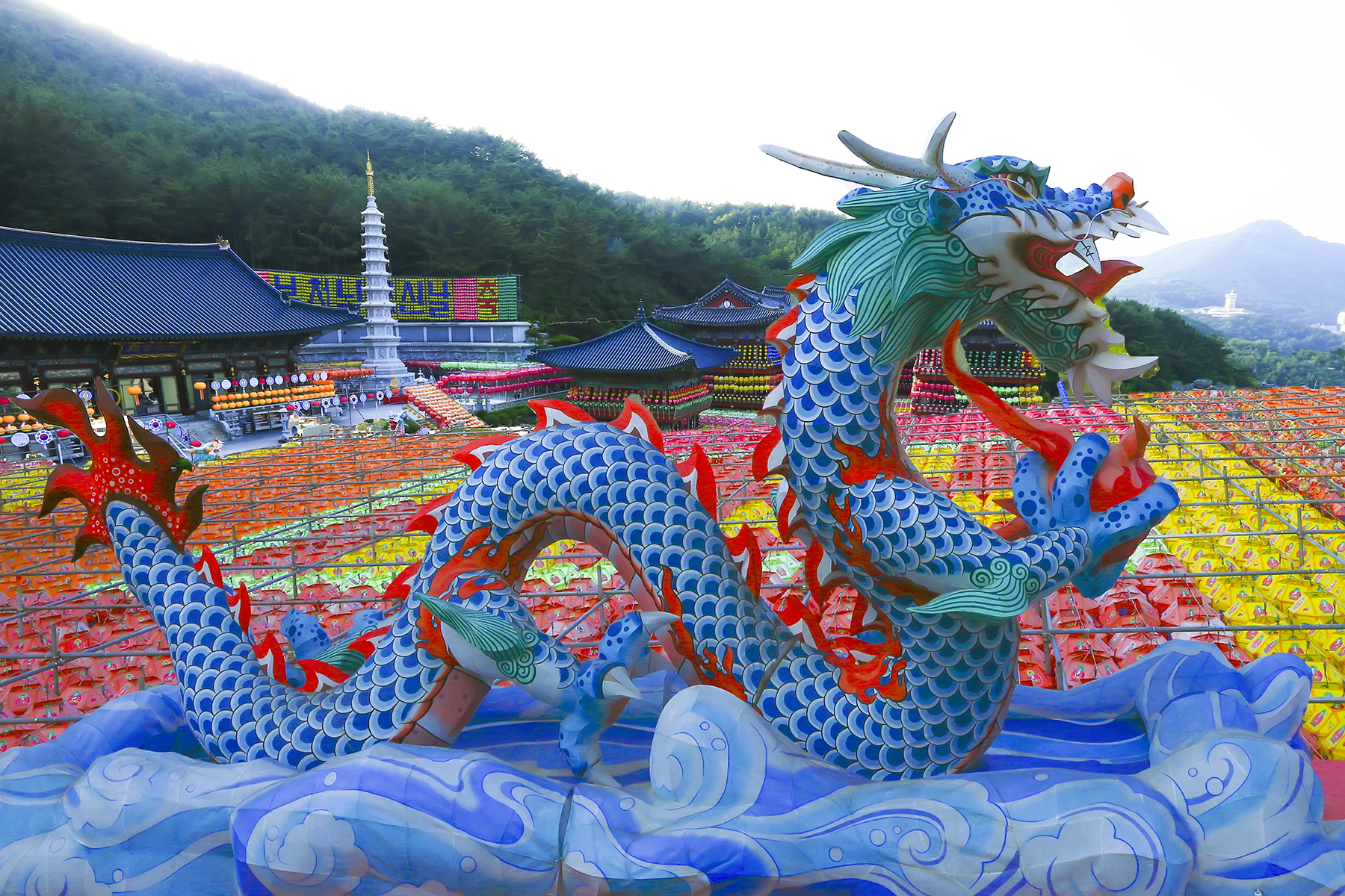 PHOTO BY WO2YA LAB | Canon EOS-1D X Mark II | 2024:05:02 14:26:31 | ISO-3200 | 1/3200 sec | f 7.1 | 190 mm | EV=0 | ● WIDTH:1800 pixels  HEIGHT:1200 pixels