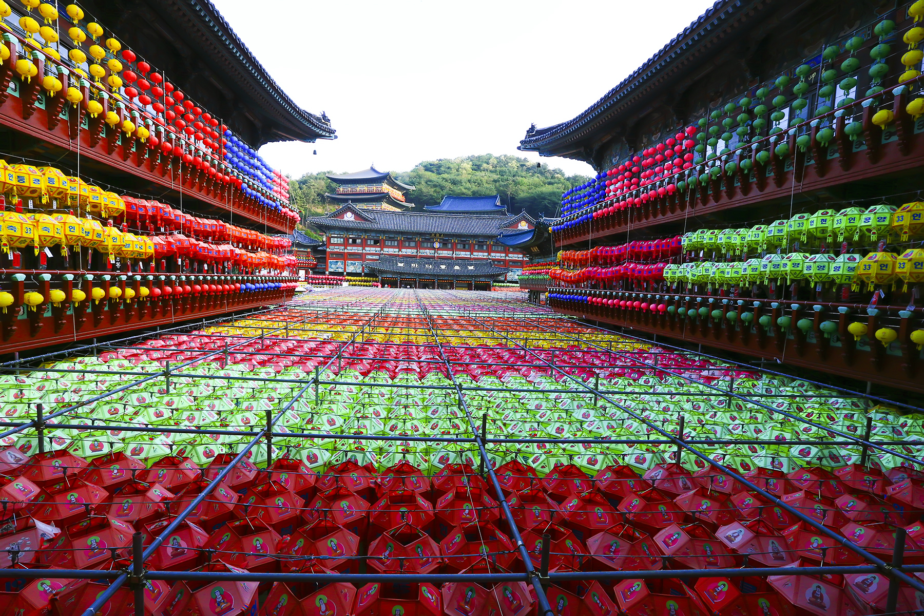 PHOTO BY WO2YA LAB | Canon EOS-1D X Mark II | 2024:05:02 14:26:20 | ISO-3200 | 1/800 sec | f 7.1 | 190 mm | EV=0 | ● WIDTH:1800 pixels  HEIGHT:1200 pixels