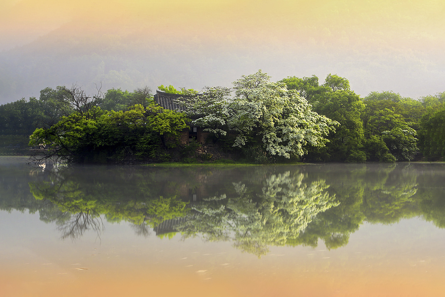 PHOTO BY  | CanonCanon  |  | ISO- |  |  |  | EV=0 | ● WIDTH:  HEIGHT: