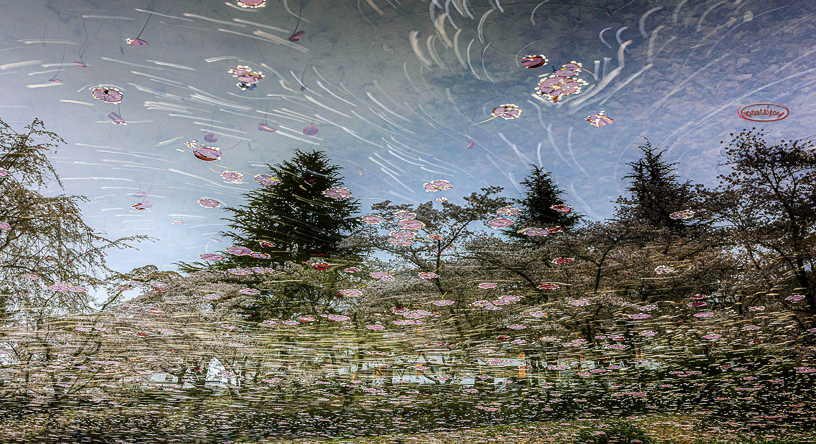 PHOTO BY jps | Canon EOS R6 | 2024:04:08 16:48:41 | ISO-100 | 75/1 sec | f 20 | 35 mm | EV=0 | ● WIDTH:1600 pixels  HEIGHT:870 pixels