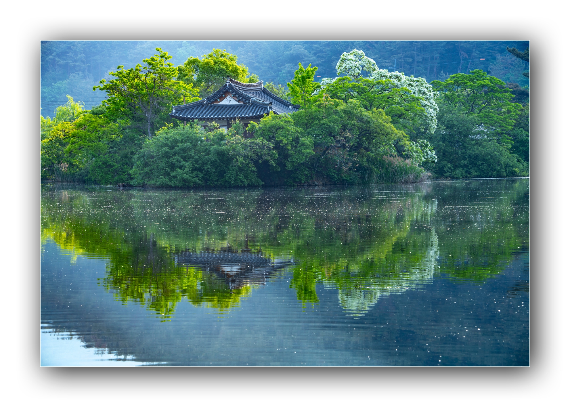 PHOTO BY Sil Sang Kim | ILCE-7RM4 | 2024:04:27 18:54:12 | ISO-100 | 1/30 sec | f 10 | 135 mm | EV=0 | ● WIDTH:1982 pixels  HEIGHT:1415 pixels