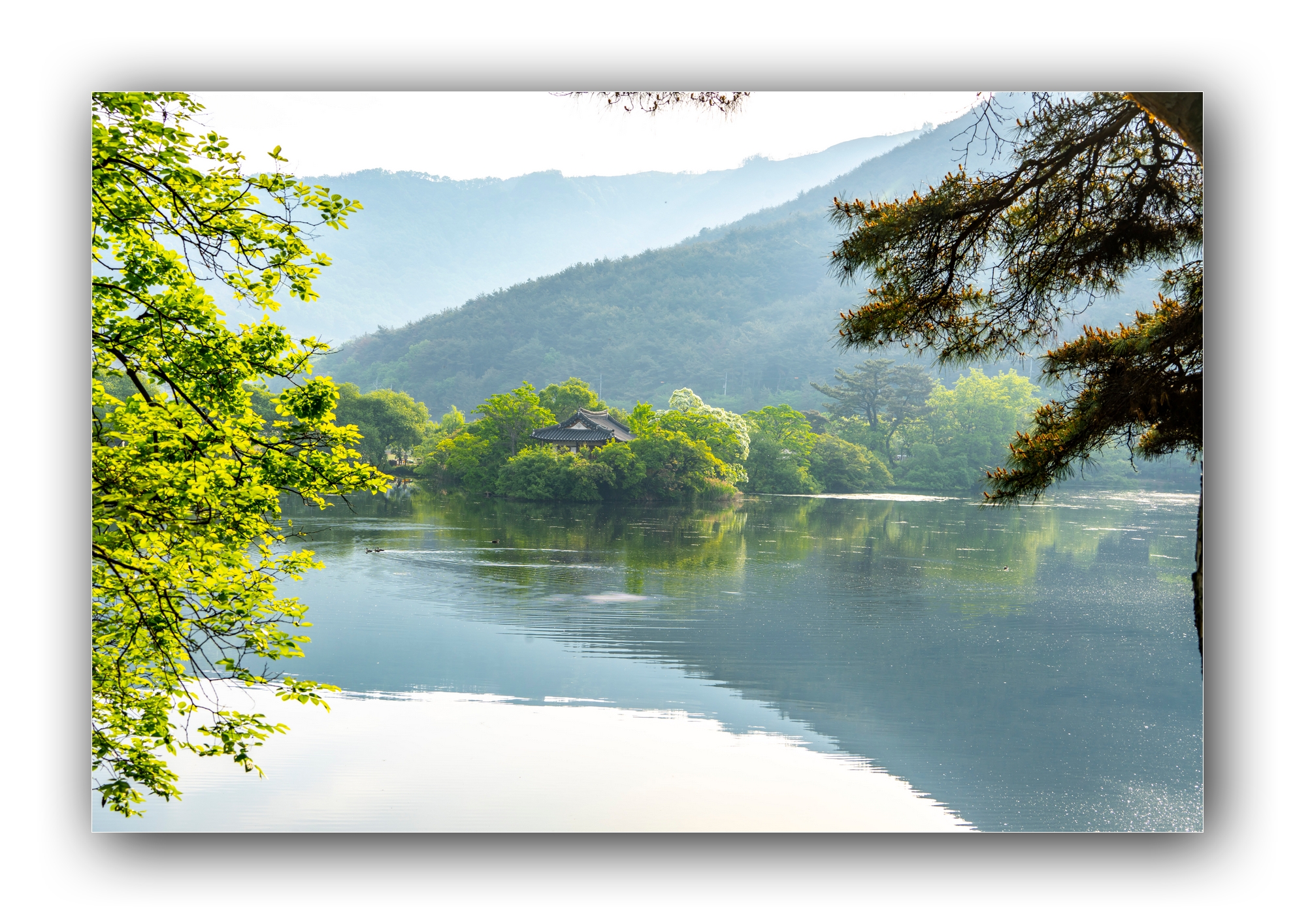 PHOTO BY Sil Sang Kim | ILCE-7RM4 | 2024:04:27 19:17:28 | ISO-100 | 1/100 sec | f 10 | 50 mm | EV=0 | ● WIDTH:1982 pixels  HEIGHT:1415 pixels