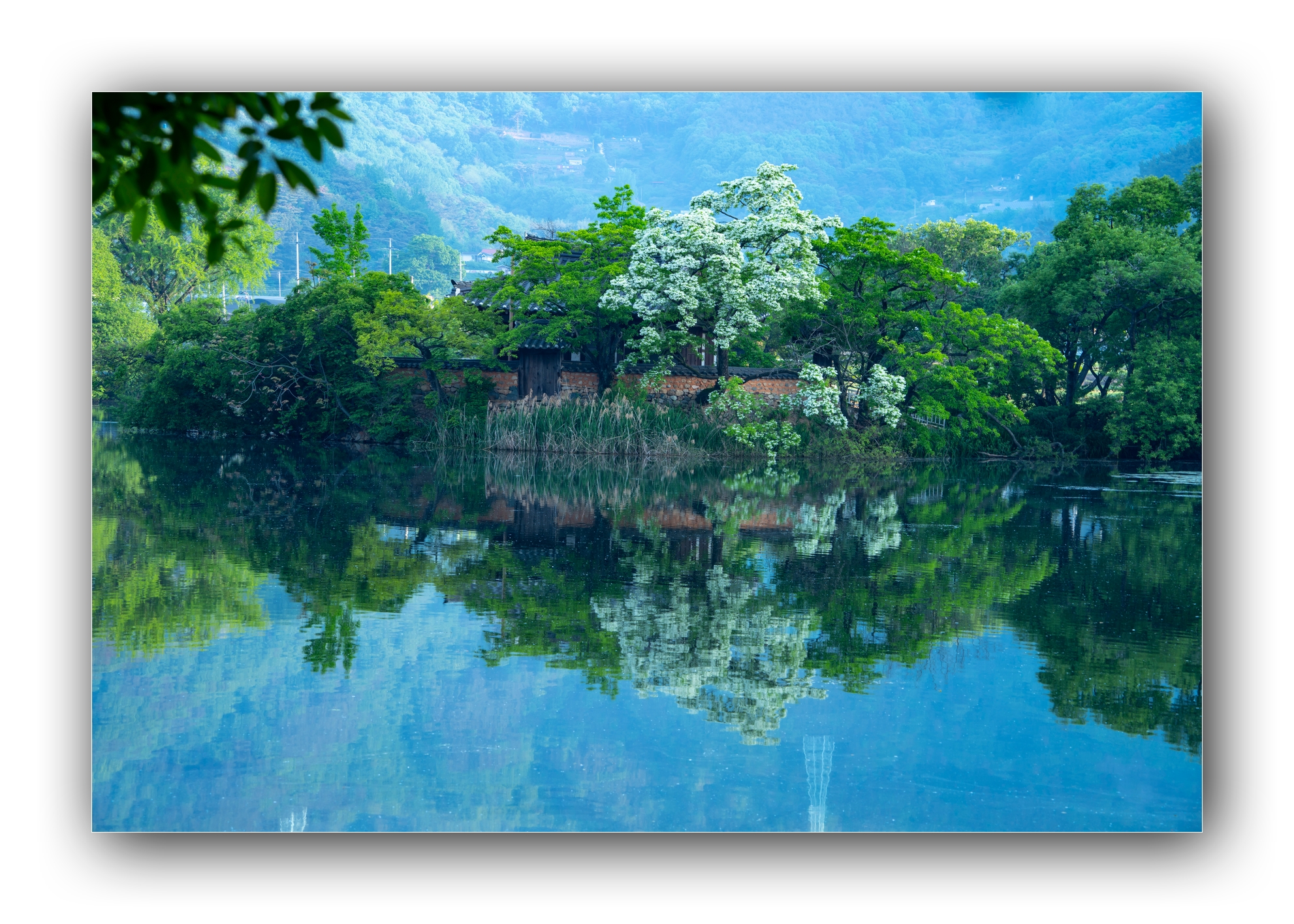 PHOTO BY Sil Sang Kim | ILCE-7RM4 | 2024:04:27 18:42:34 | ISO-100 | 1/30 sec | f 10 | 106 mm | EV=0 | ● WIDTH:1982 pixels  HEIGHT:1415 pixels