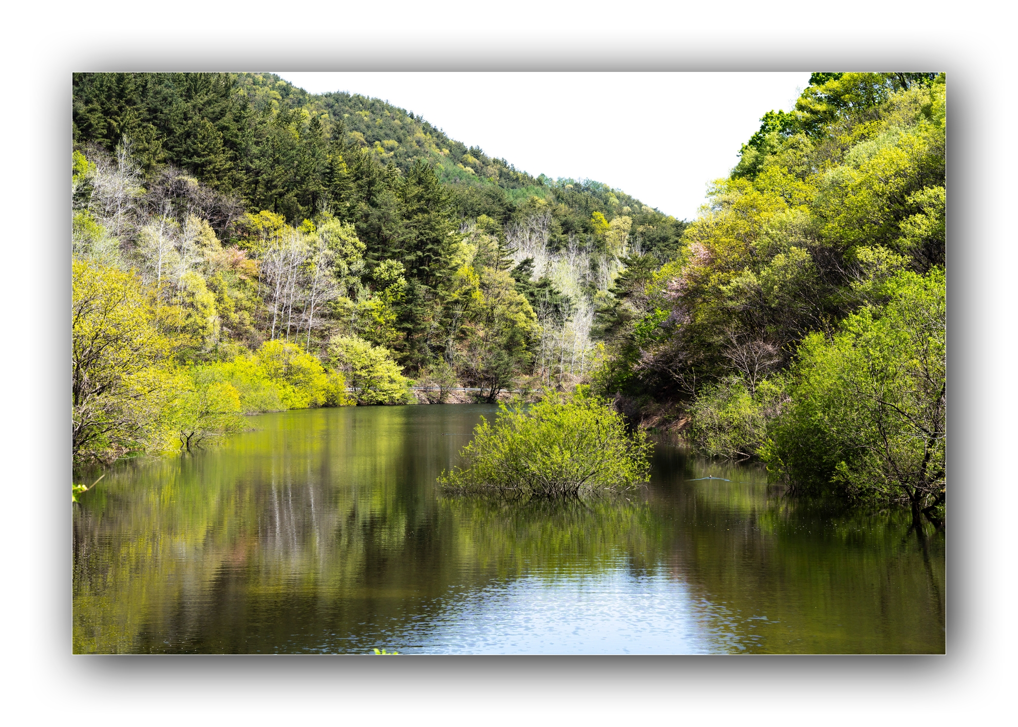 PHOTO BY Sil Sang Kim | ILCE-7RM4 | 2024:04:13 23:05:07 | ISO-100 | 1/200 sec | f 13 | 72 mm | EV=0 | ● WIDTH:1982 pixels  HEIGHT:1415 pixels