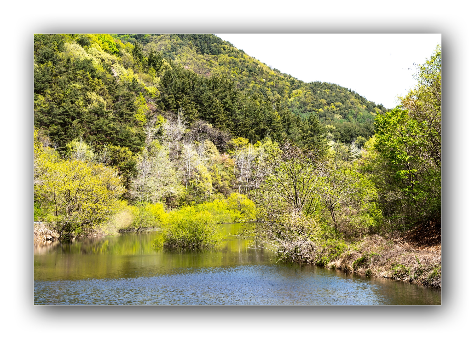 PHOTO BY Sil Sang Kim | ILCE-7RM4 | 2024:04:13 23:05:46 | ISO-100 | 1/200 sec | f 13 | 71 mm | EV=0 | ● WIDTH:1982 pixels  HEIGHT:1415 pixels