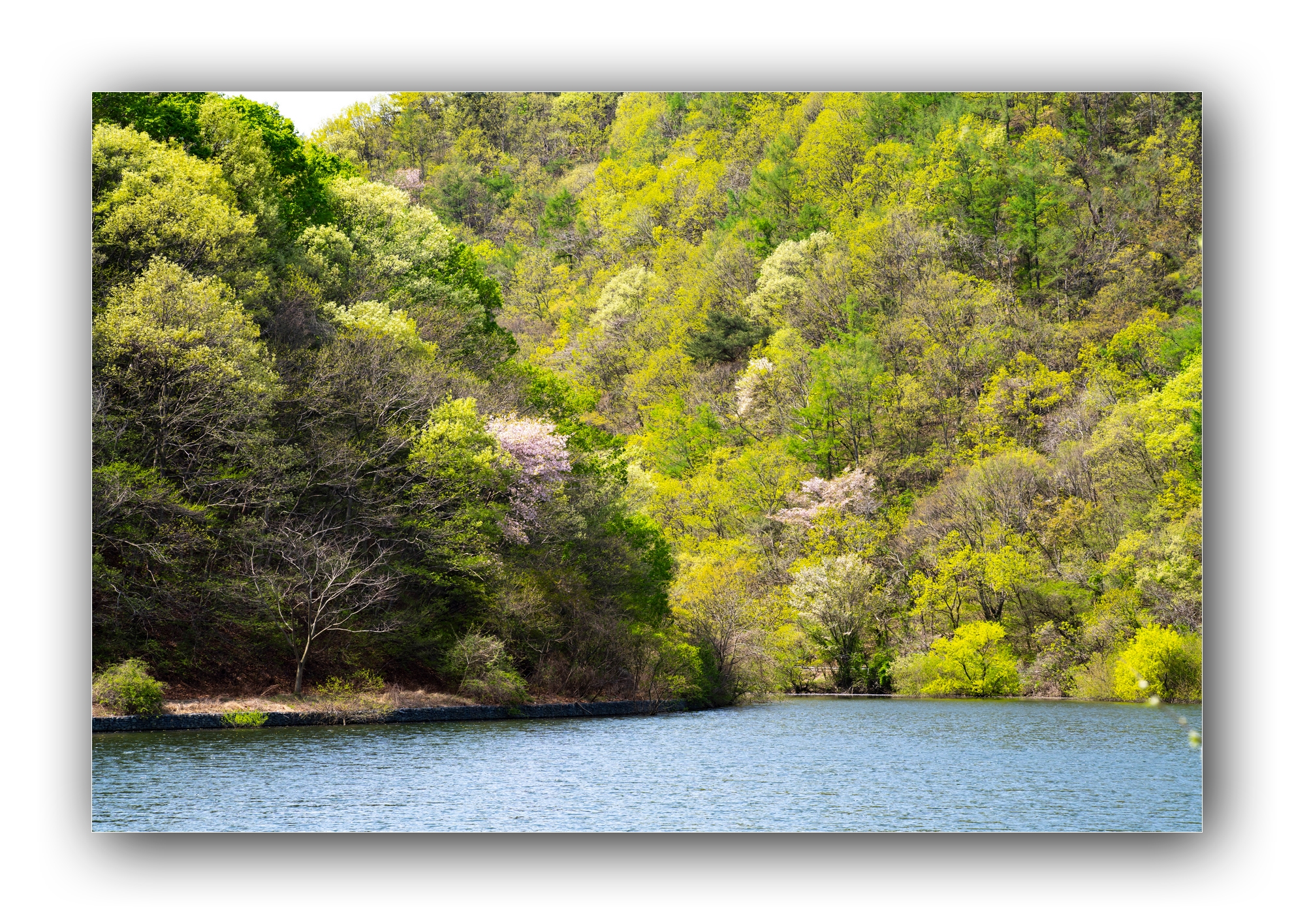 PHOTO BY Sil Sang Kim | ILCE-7RM4 | 2024:04:13 22:55:42 | ISO-100 | 1/200 sec | f 13 | 121 mm | EV=0 | ● WIDTH:1982 pixels  HEIGHT:1415 pixels