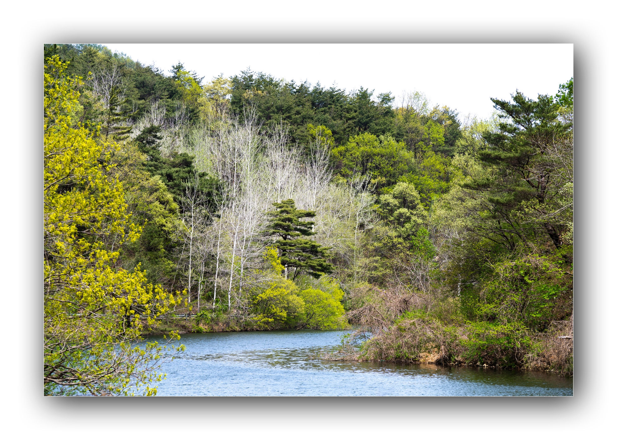 PHOTO BY Sil Sang Kim | ILCE-7RM4 | 2024:04:14 01:20:07 | ISO-100 | 1/320 sec | f 9 | 150 mm | EV=0 | ● WIDTH:1982 pixels  HEIGHT:1415 pixels