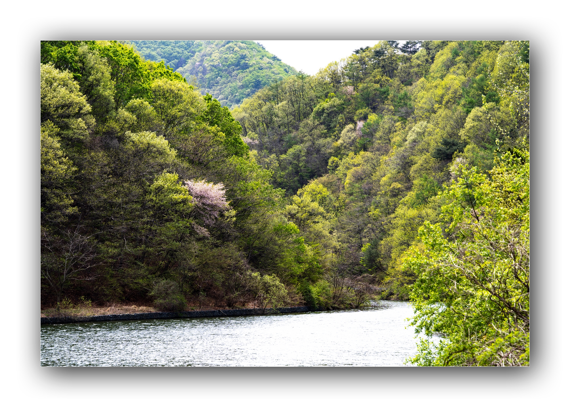 PHOTO BY Sil Sang Kim | ILCE-7RM4 | 2024:04:14 01:27:30 | ISO-100 | 1/320 sec | f 9 | 106 mm | EV=0 | ● WIDTH:1982 pixels  HEIGHT:1415 pixels