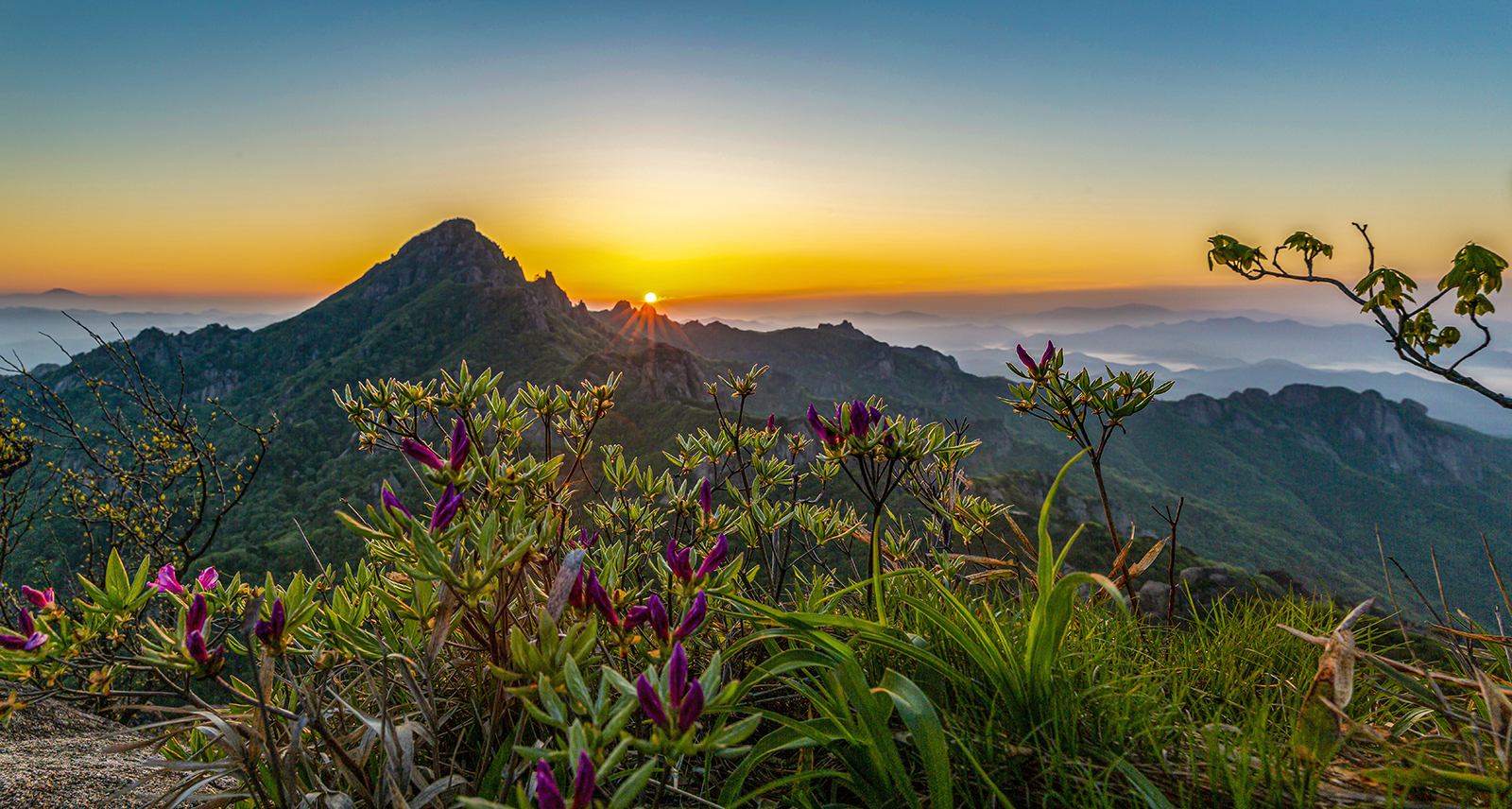 PHOTO BY MINKYUKIM | Canon EOS 5D Mark III | 2024:04:27 05:27:14 | ISO-200 | 1/30 sec | f 11 | 24 mm | EV=0 | ● WIDTH:1600 pixels  HEIGHT:856 pixels