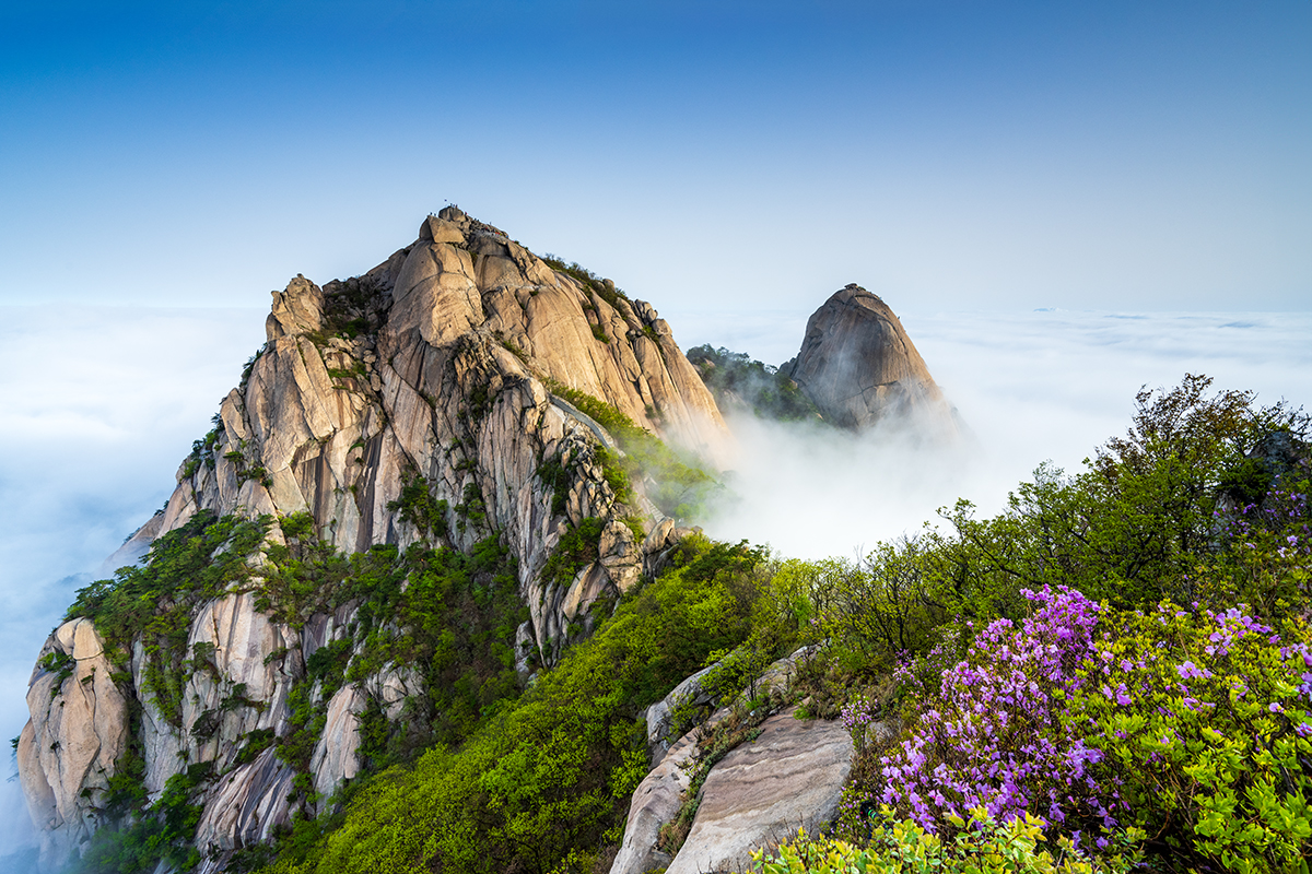 PHOTO BY  | NIKON Z 7_2 | 2024:04:25 07:04:16 | ISO-200 | 1/60 sec | f 11 | 15.5 mm | EV=0 | ● WIDTH:1200 pixels  HEIGHT:800 pixels