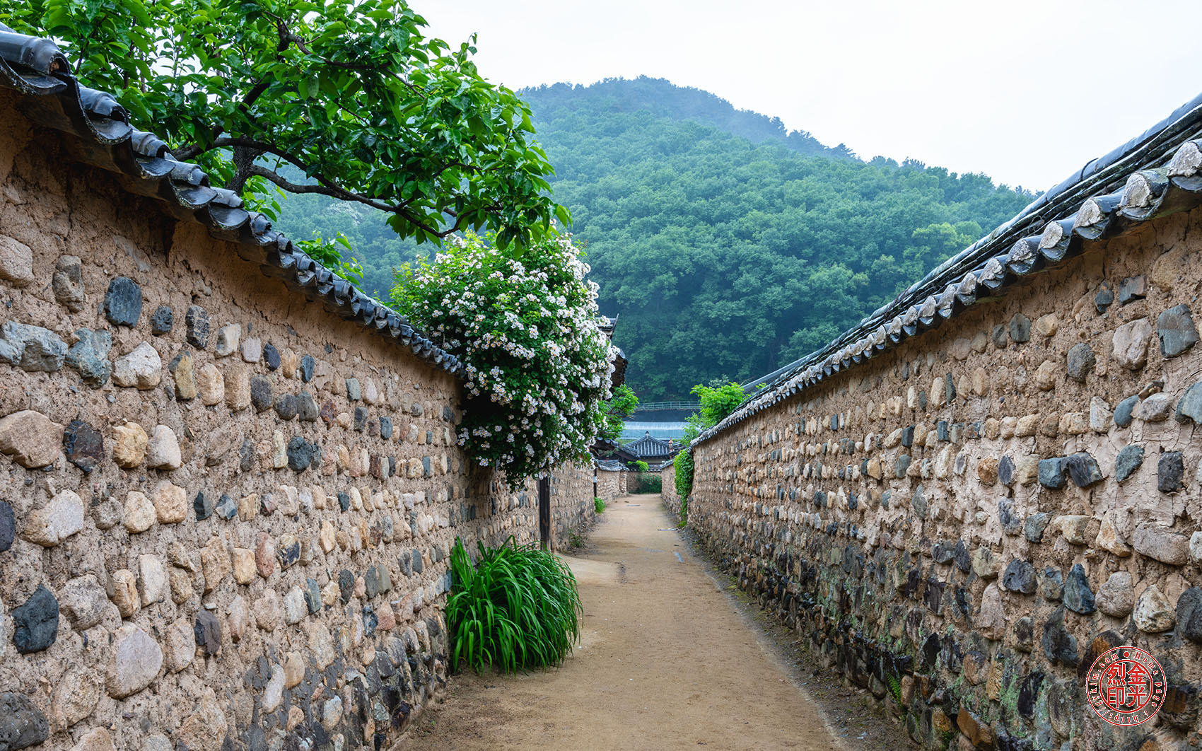PHOTO BY KKY_CWANG_YEOL | NIKON Z 8 | 2024:05:05 10:28:31 | ISO-50 | 1/2 sec | f 18 | 29.5 mm | EV=0.3 | ● WIDTH:1700 pixels  HEIGHT:1062 pixels