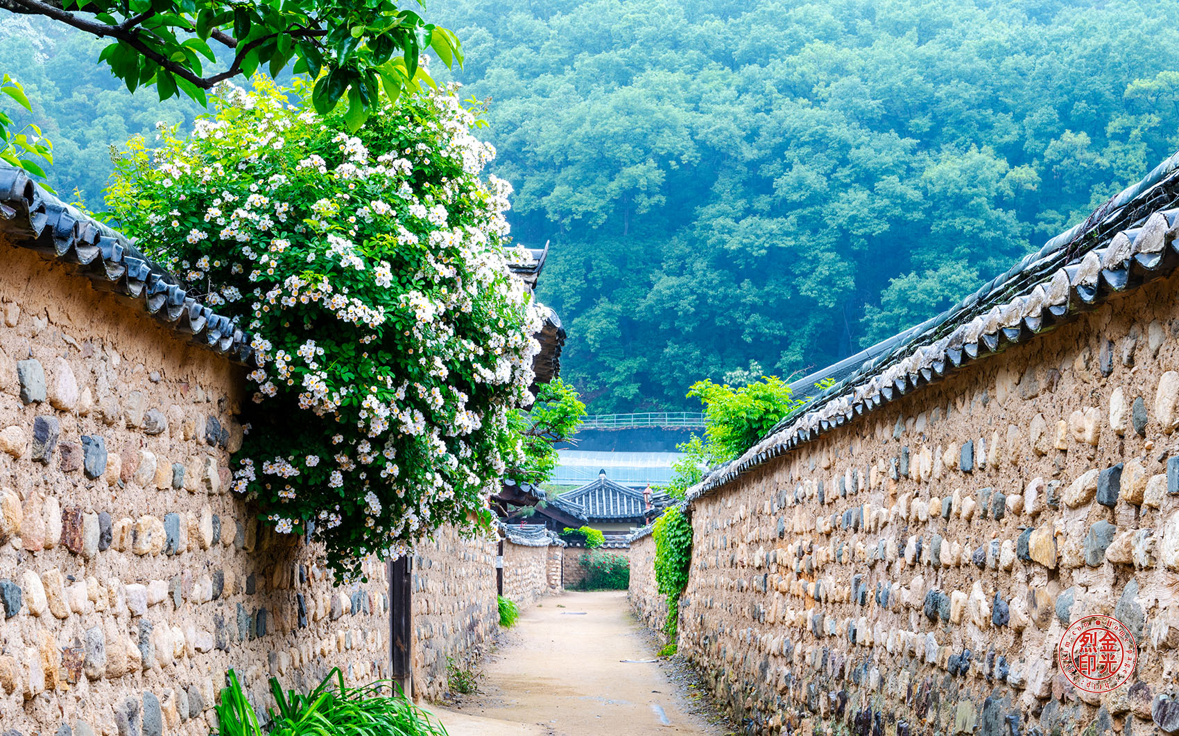 PHOTO BY KKY_CWANG_YEOL | NIKON Z 8 | 2024:05:05 10:29:57 | ISO-100 | 1/3 sec | f 18 | 51 mm | EV=0.3 | ● WIDTH:1700 pixels  HEIGHT:1062 pixels