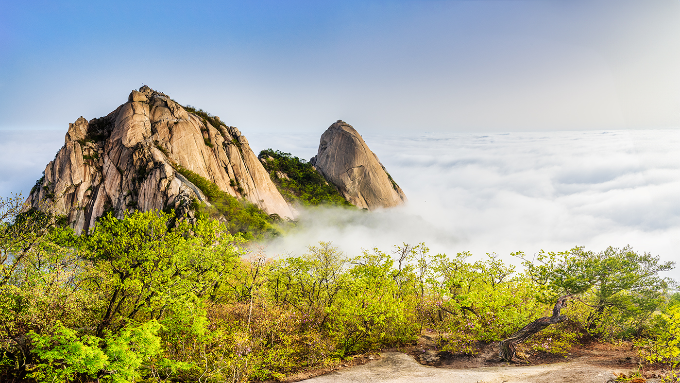 PHOTO BY  | NIKON Z 7_2 | 2024:04:25 07:10:57 | ISO-200 | 1/125 sec | f 11 | 15.5 mm | EV=0 | ● WIDTH:1400 pixels  HEIGHT:788 pixels