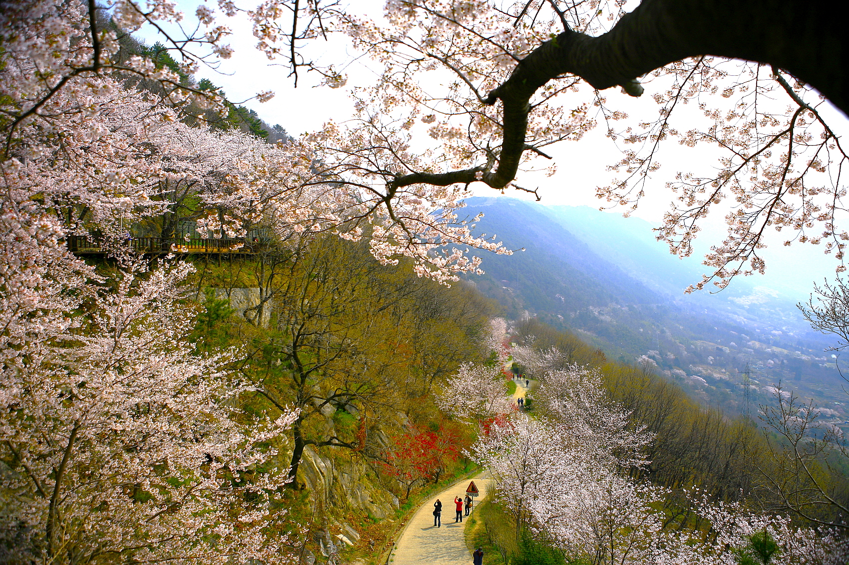 PHOTO BY  | Canon EOS 5D | 2013:04:04 10:47:11 | ISO-100 | 1/250 sec | f 4 | 27 mm | EV=0 | ● WIDTH:1700 pixels  HEIGHT:1133 pixels