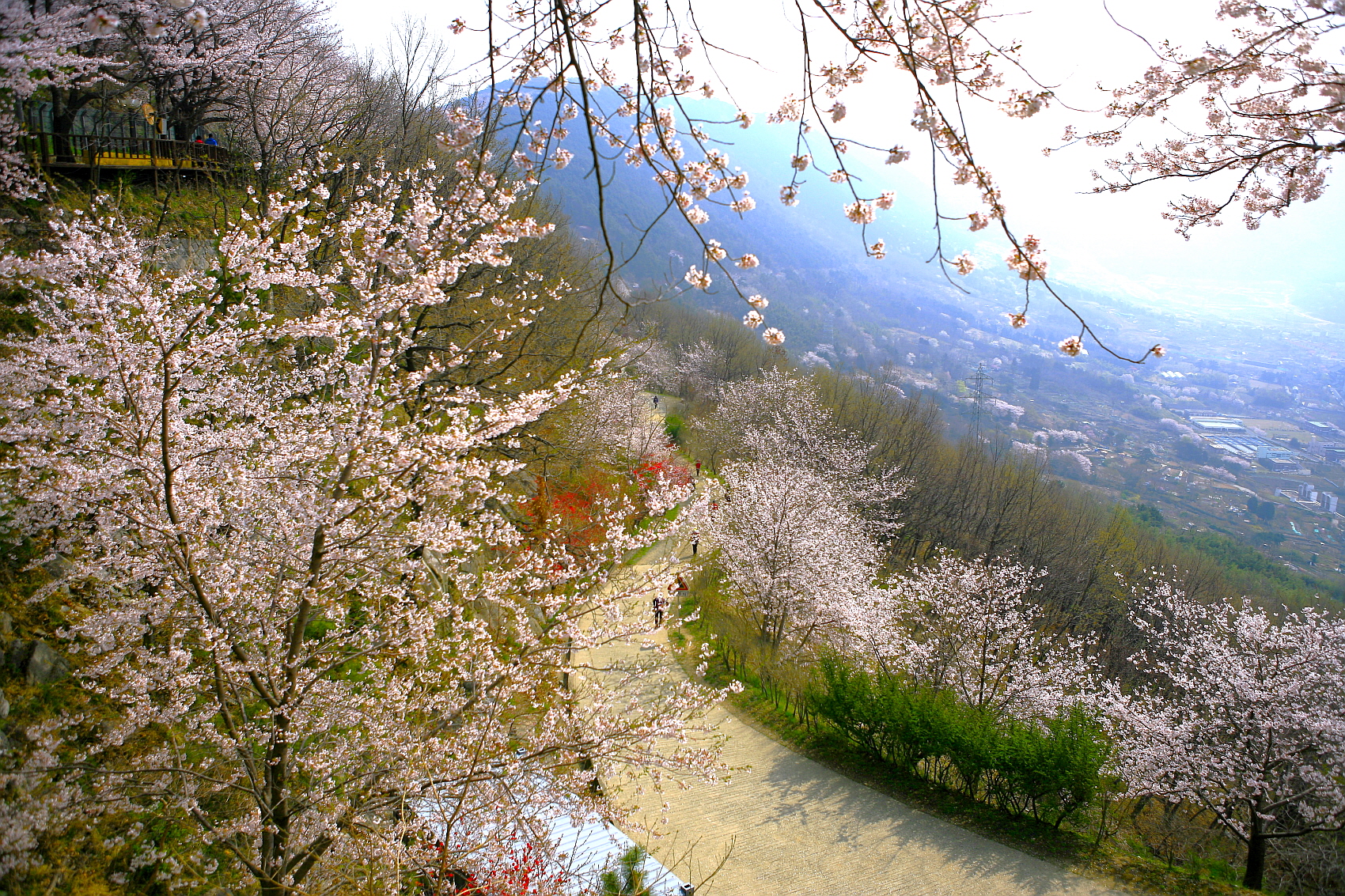 PHOTO BY  | Canon EOS 5D | 2013:04:04 10:42:49 | ISO-100 | 1/320 sec | f 4 | 28 mm | EV=0 | ● WIDTH:1700 pixels  HEIGHT:1133 pixels