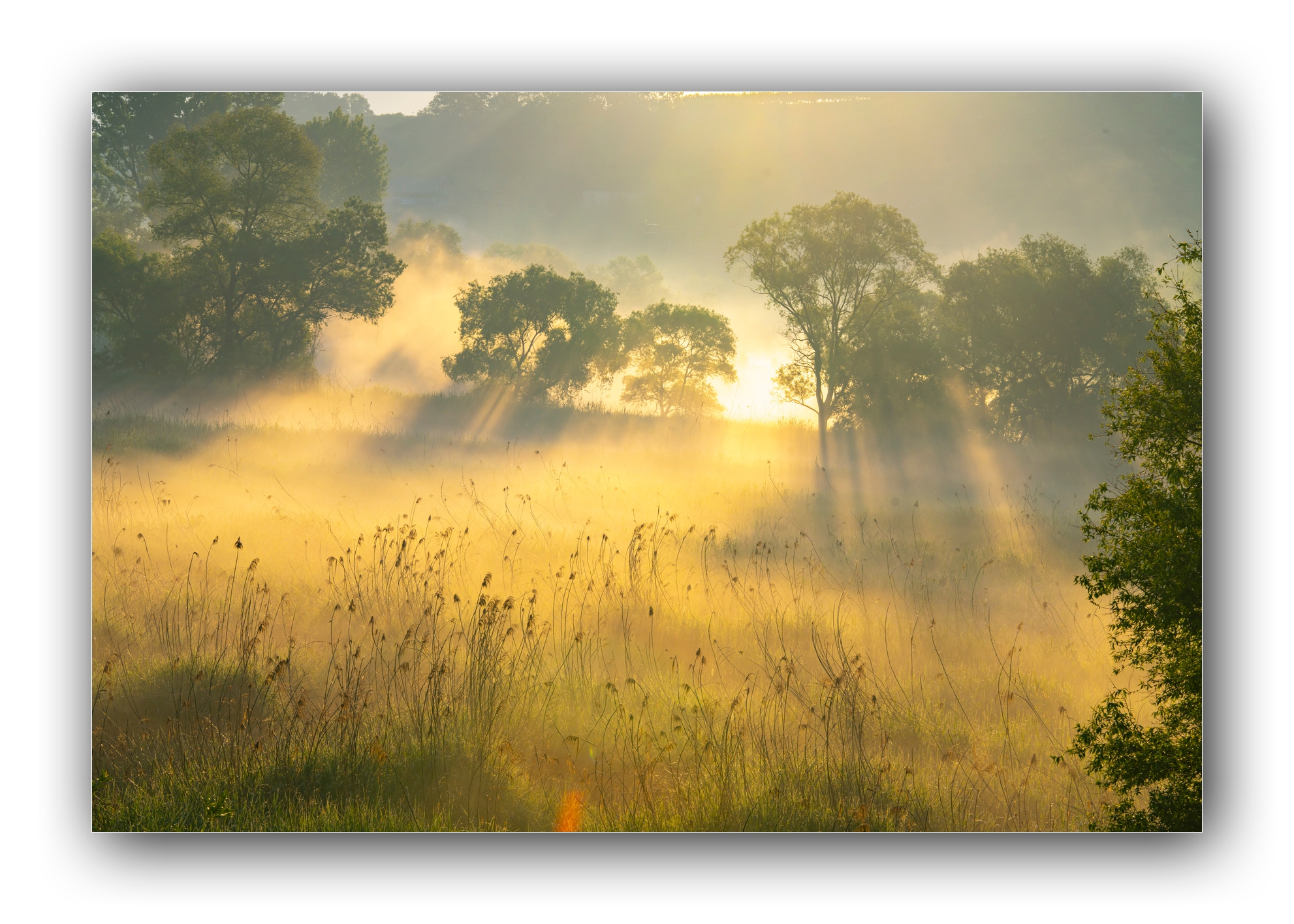 PHOTO BY Sil Sang Kim | ILCE-7RM4 | 2024:05:03 18:05:57 | ISO-100 | 1/400 sec | f 13 | 112 mm | EV=0 | ● WIDTH:1982 pixels  HEIGHT:1415 pixels