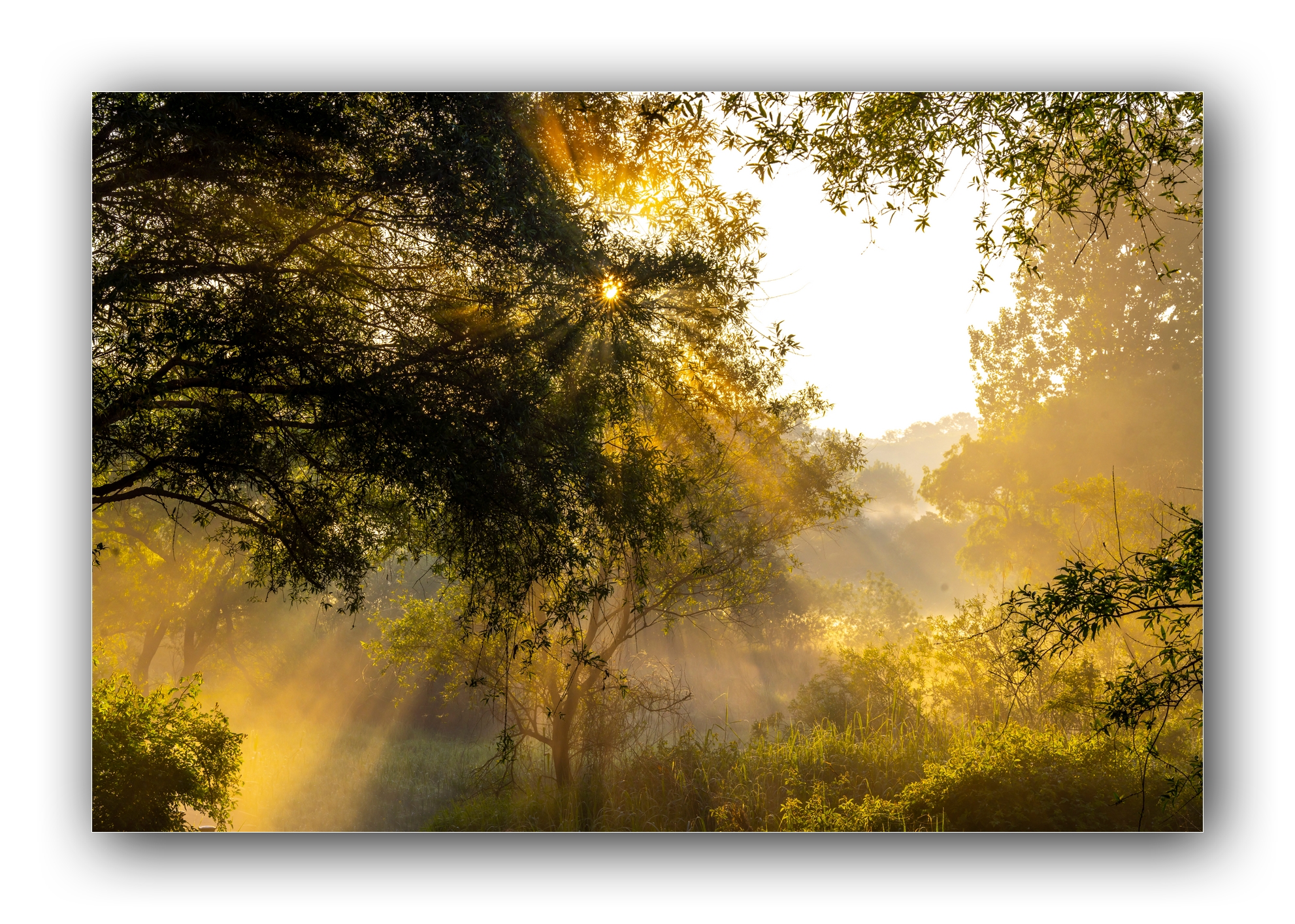 PHOTO BY Sil Sang Kim | ILCE-7RM4 | 2024:05:03 18:12:31 | ISO-100 | 1/250 sec | f 13 | 70 mm | EV=0 | ● WIDTH:1982 pixels  HEIGHT:1415 pixels