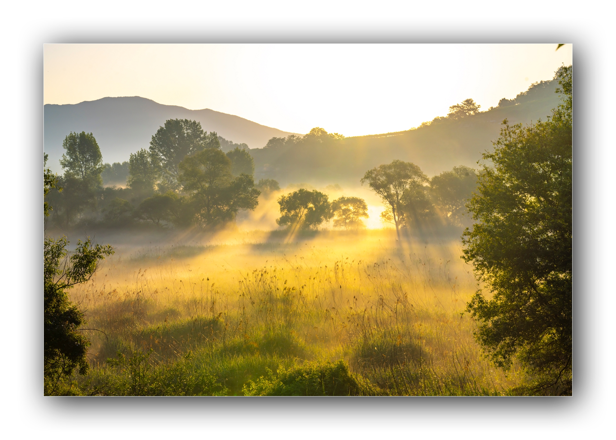 PHOTO BY Sil Sang Kim | ILCE-7RM4 | 2024:05:03 18:05:08 | ISO-100 | 1/400 sec | f 13 | 73 mm | EV=0 | ● WIDTH:1982 pixels  HEIGHT:1415 pixels