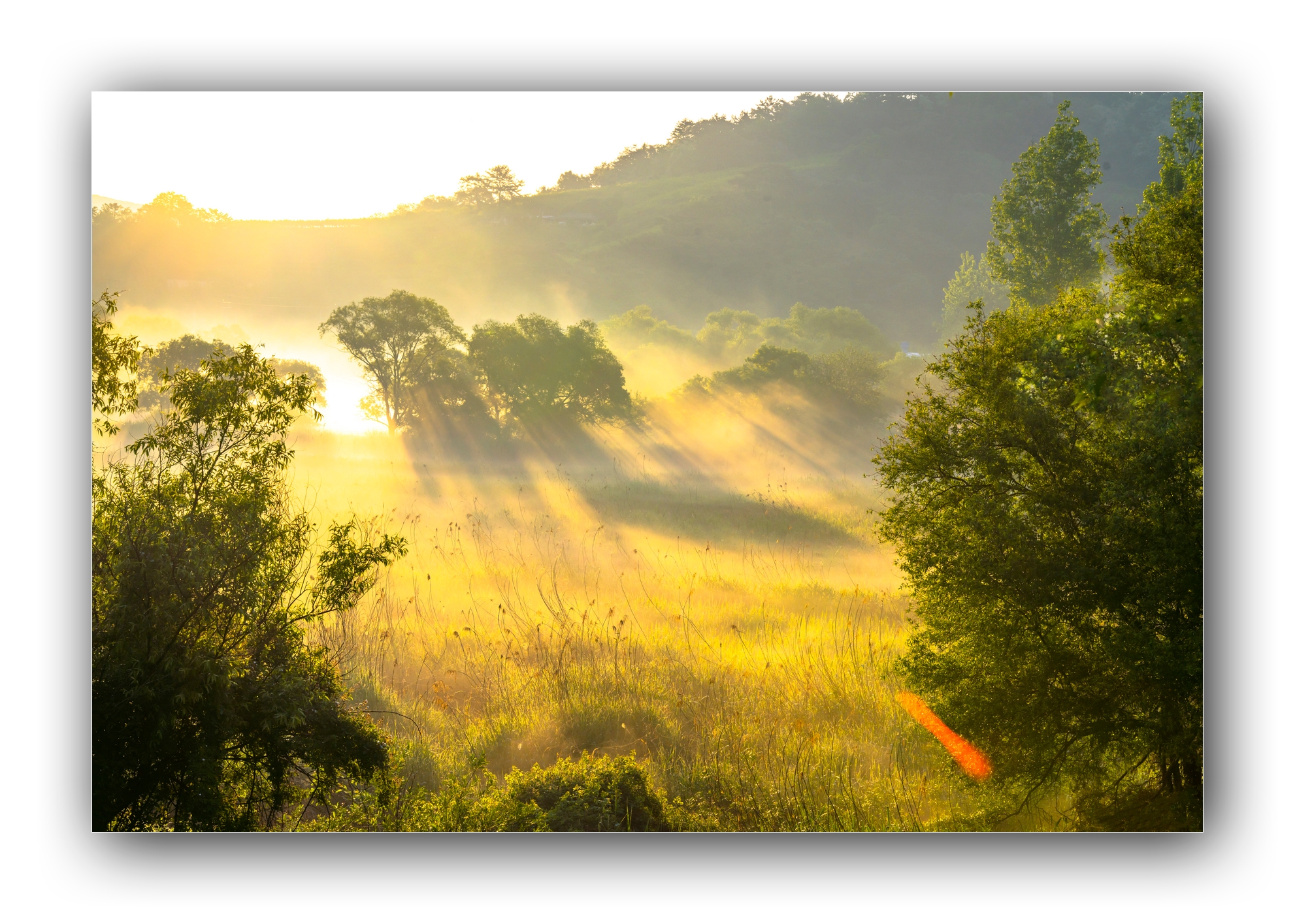 PHOTO BY Sil Sang Kim | ILCE-7RM4 | 2024:05:03 18:05:27 | ISO-100 | 1/400 sec | f 13 | 73 mm | EV=0 | ● WIDTH:1982 pixels  HEIGHT:1415 pixels