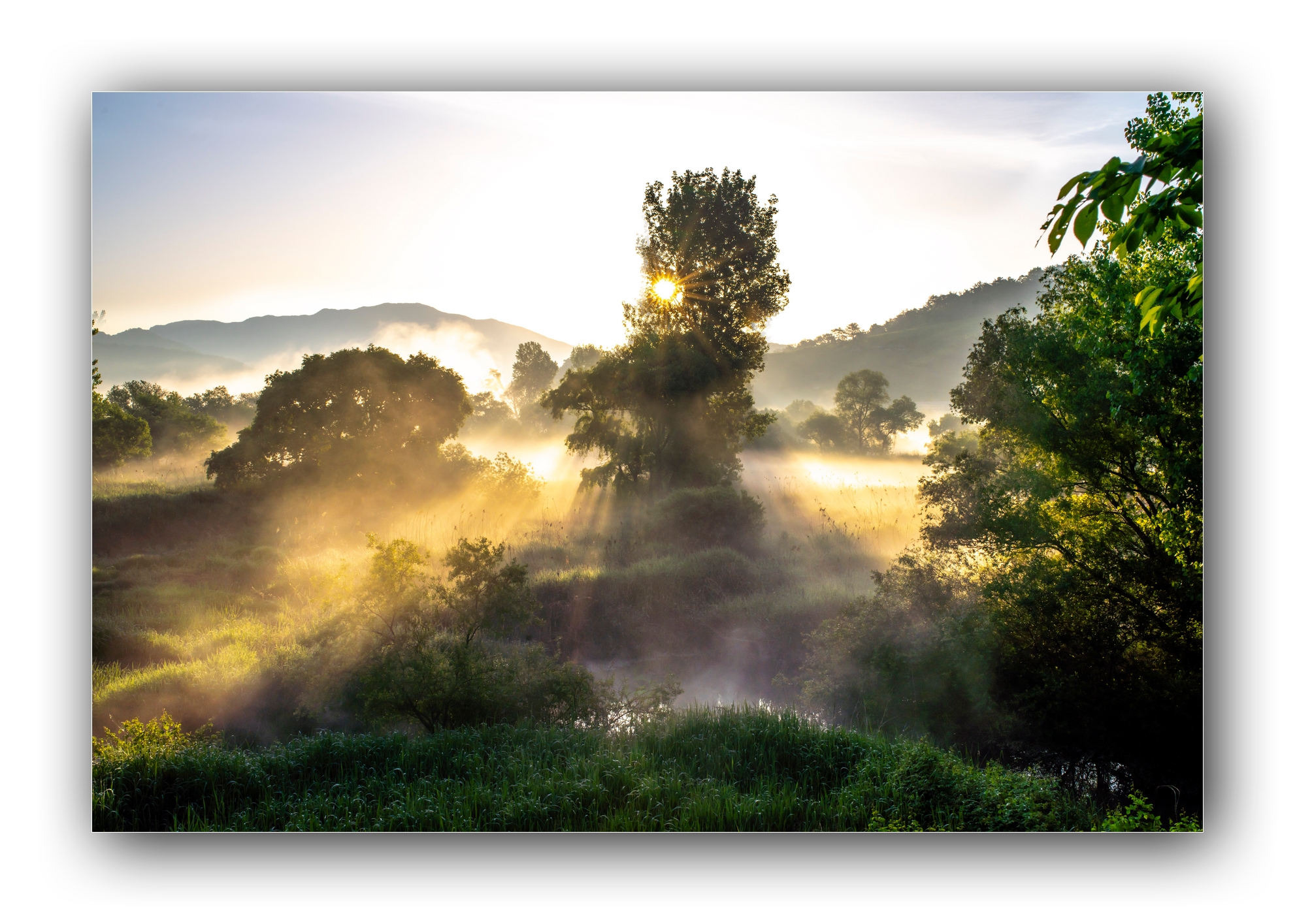 PHOTO BY Sil Sang Kim | ILCE-7RM4 | 2024:05:03 18:07:52 | ISO-100 | 1/400 sec | f 13 | 35 mm | EV=0 | ● WIDTH:1982 pixels  HEIGHT:1415 pixels