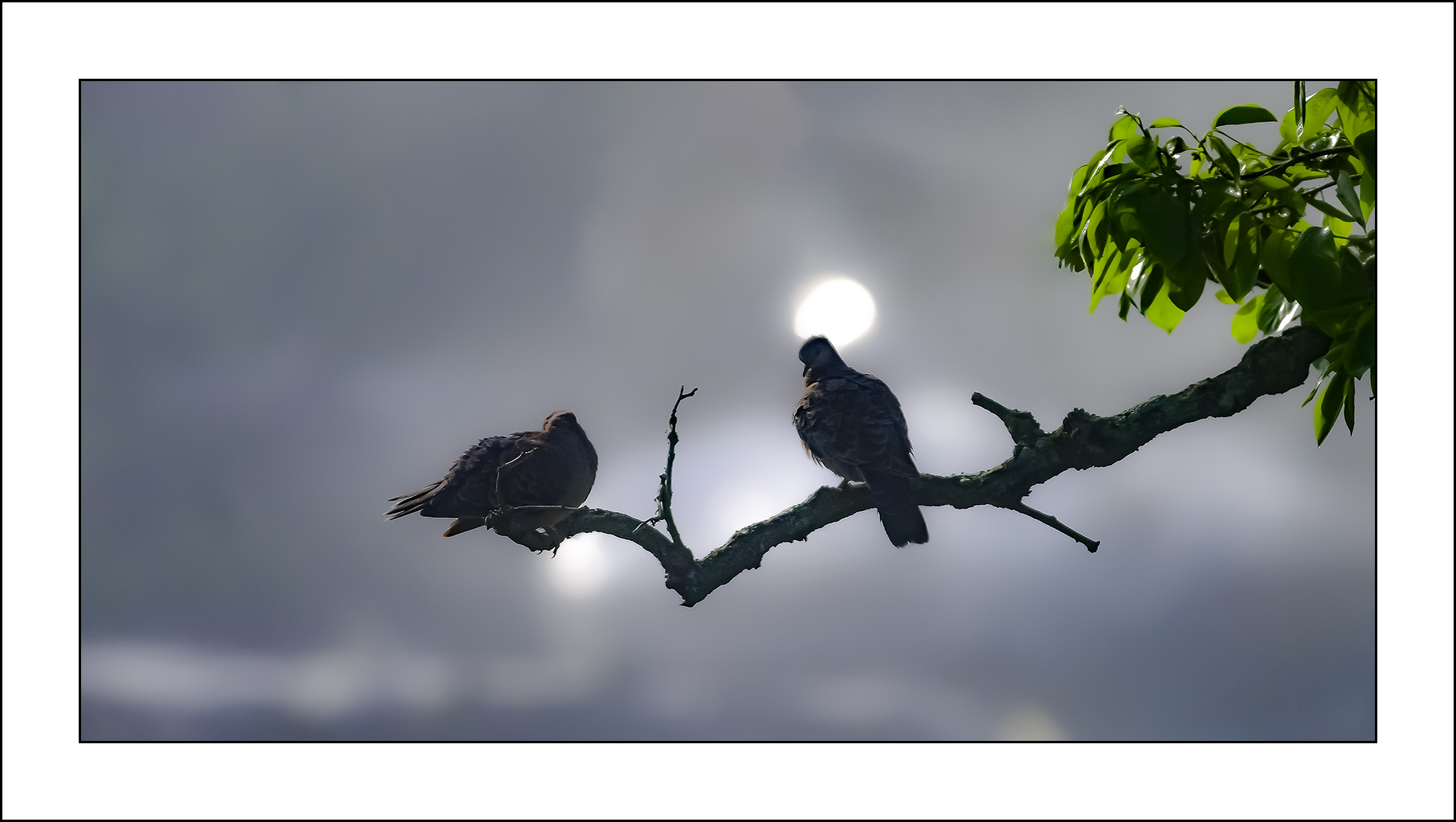   | PHOTO BY : 삿갓/정봉식  |