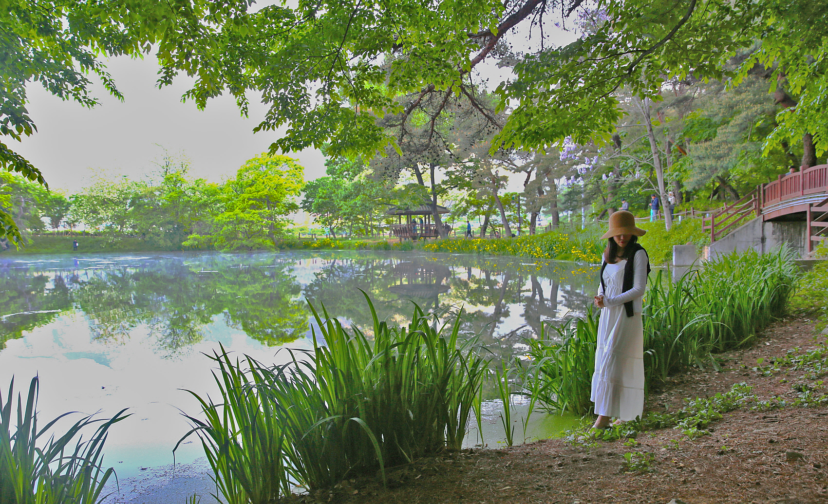 PHOTO BY  | Canon EOS 5D Mark III | 2024:05:04 06:18:30 | ISO-100 | 1/60 sec | f 3.5 | 24 mm | EV=0 | ● WIDTH:1700 pixels  HEIGHT:1035 pixels