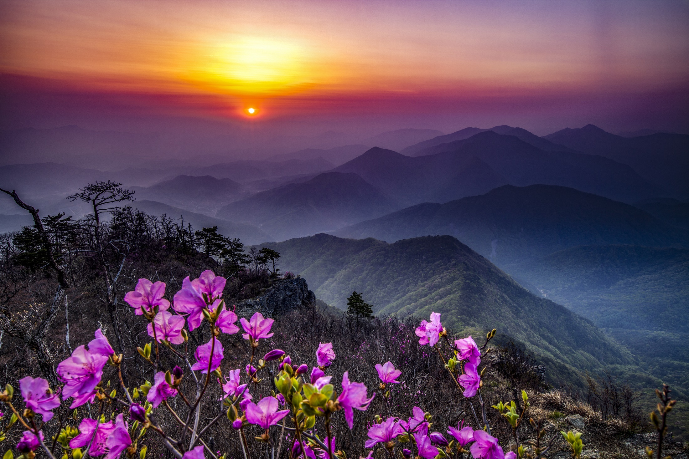 PHOTO BY  | Canon EOS 5D Mark II | 2019:05:04 05:49:17 | ISO-100 | 2/1 sec | f 22 | 23 mm | EV=0 | ● WIDTH:5616 pixels  HEIGHT:3744 pixels