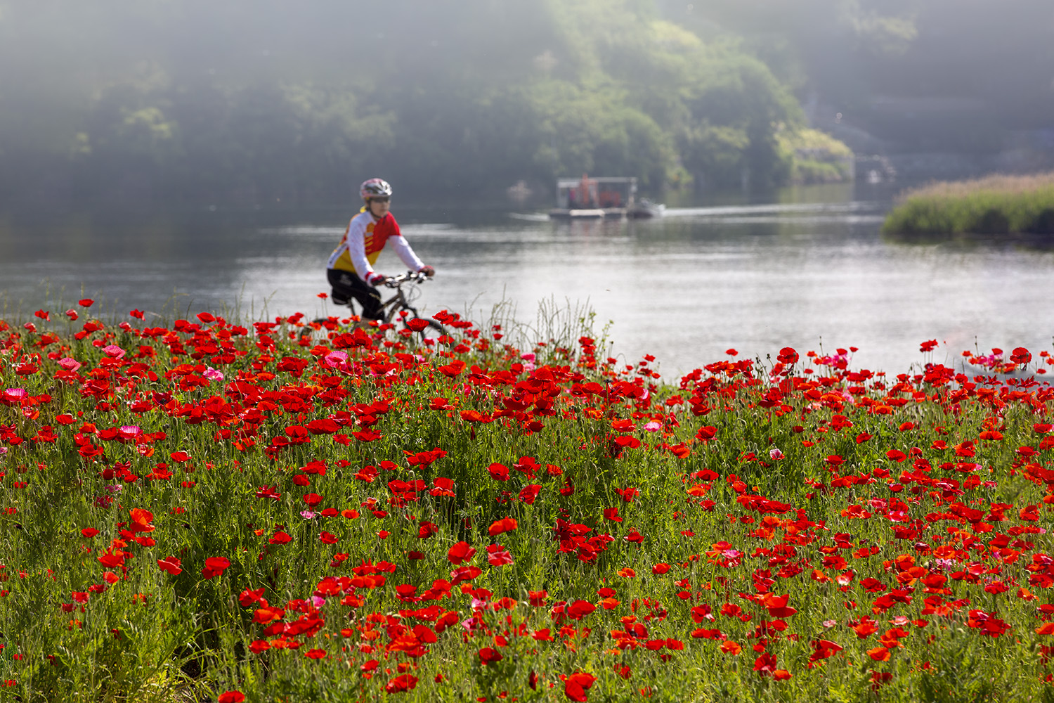 PHOTO BY  | CanonCanon  |  | ISO- |  |  |  | EV=0 | ● WIDTH:  HEIGHT: