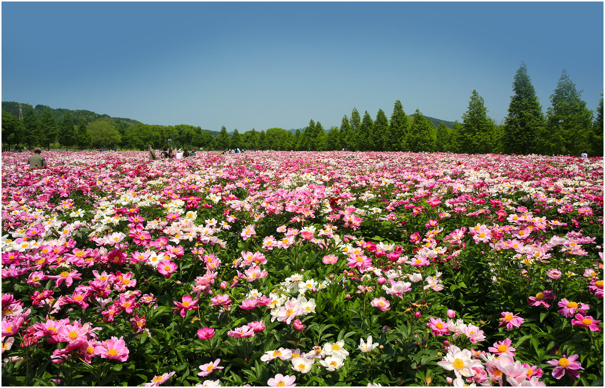   | PHOTO BY : 몰운대/조태열  |