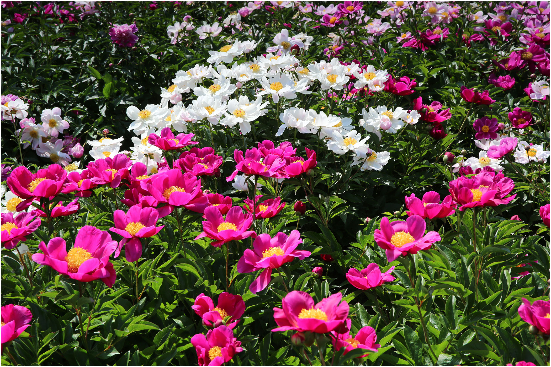   | PHOTO BY : 몰운대/조태열  |