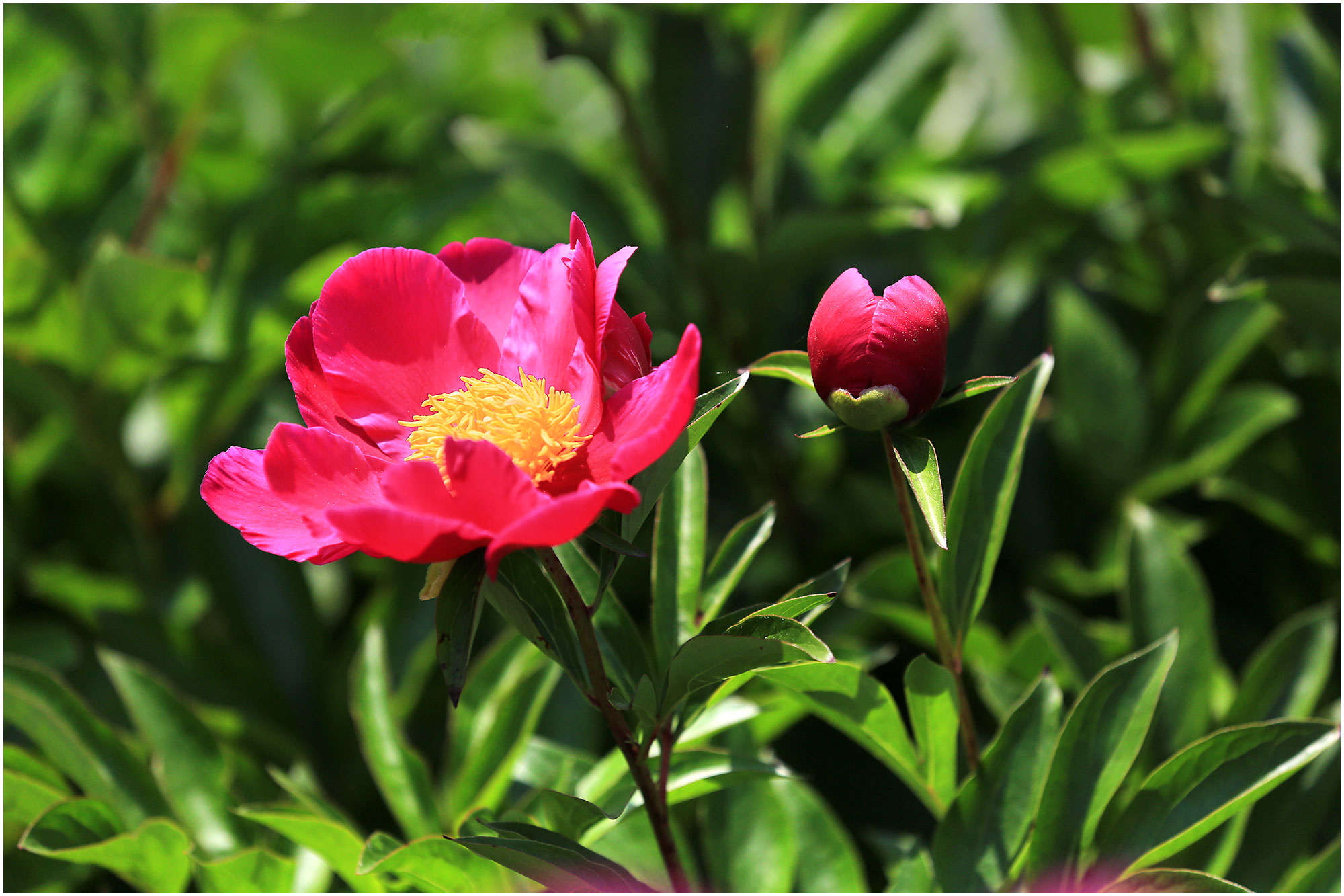   | PHOTO BY : 몰운대/조태열  |