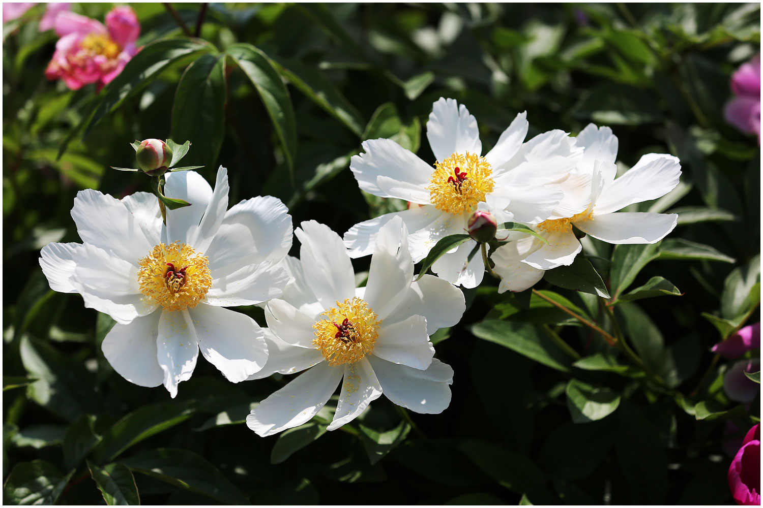   | PHOTO BY : 몰운대/조태열  |